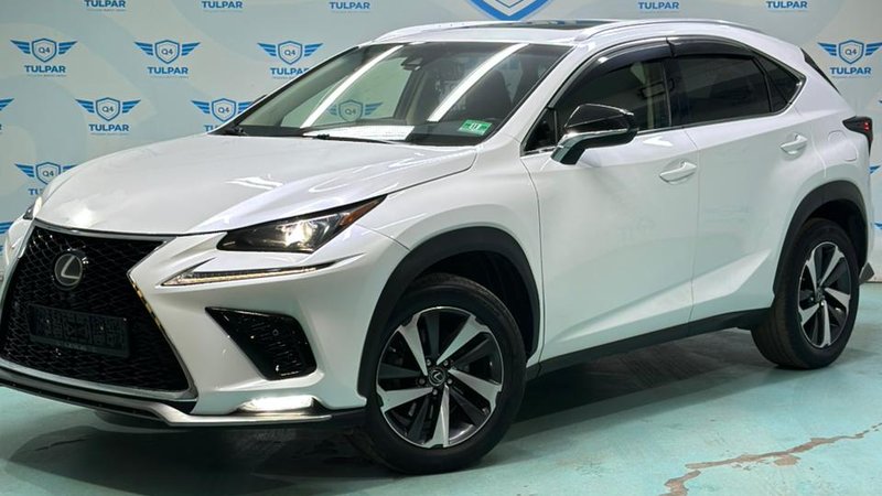 2018 Lexus NX