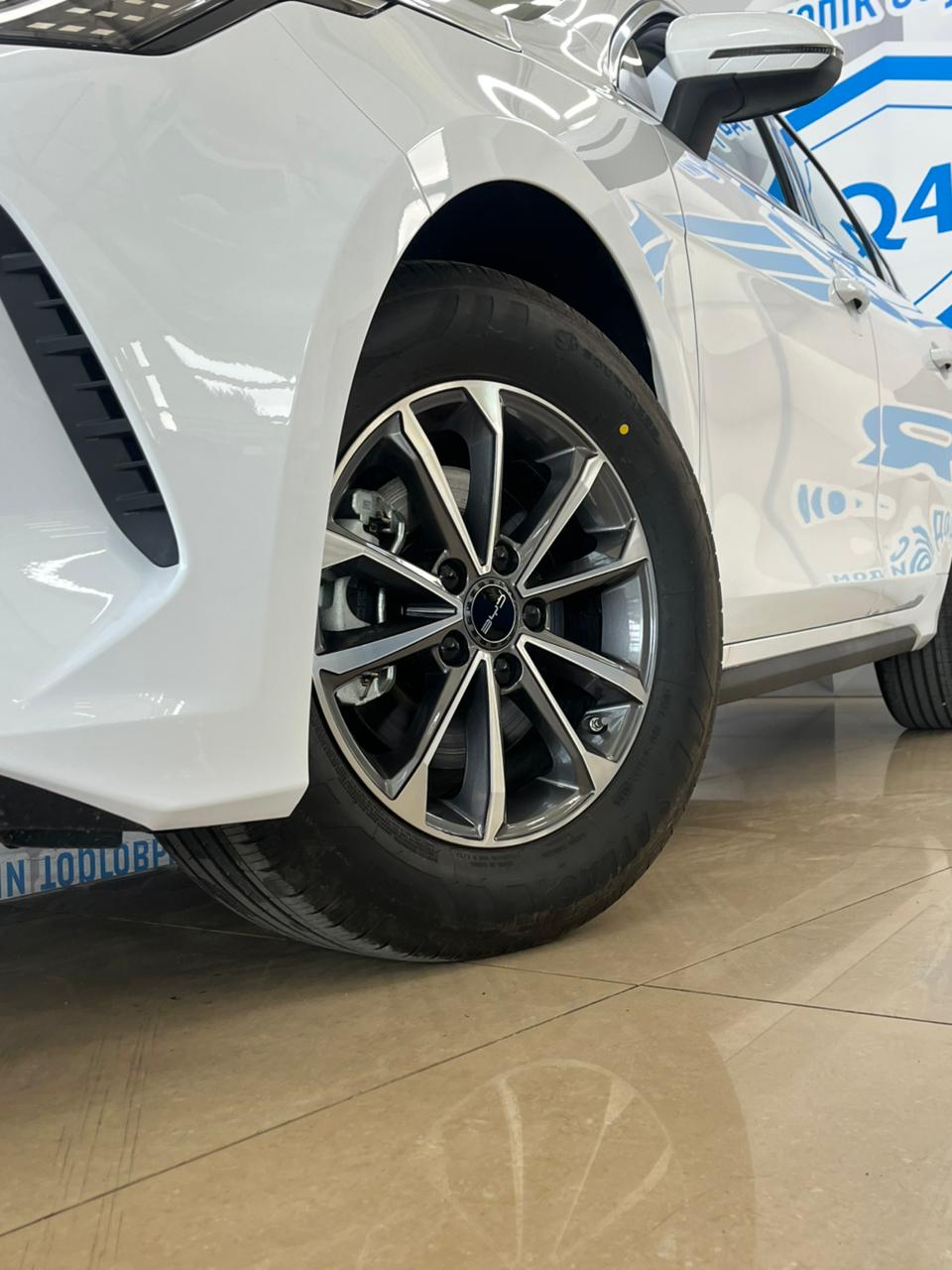 2024 BYD Destroyer 05