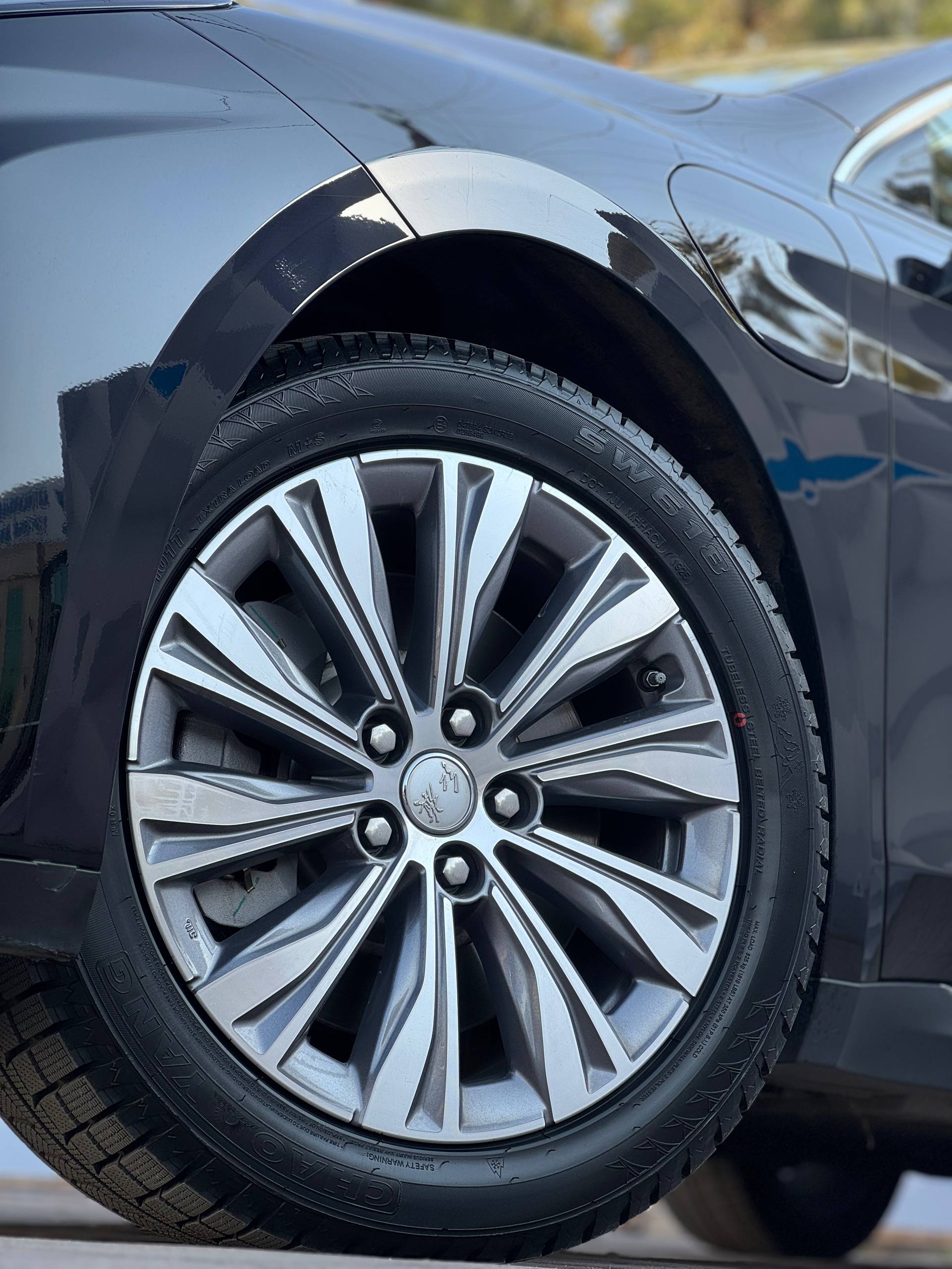 2025 Hongqi E-QM5