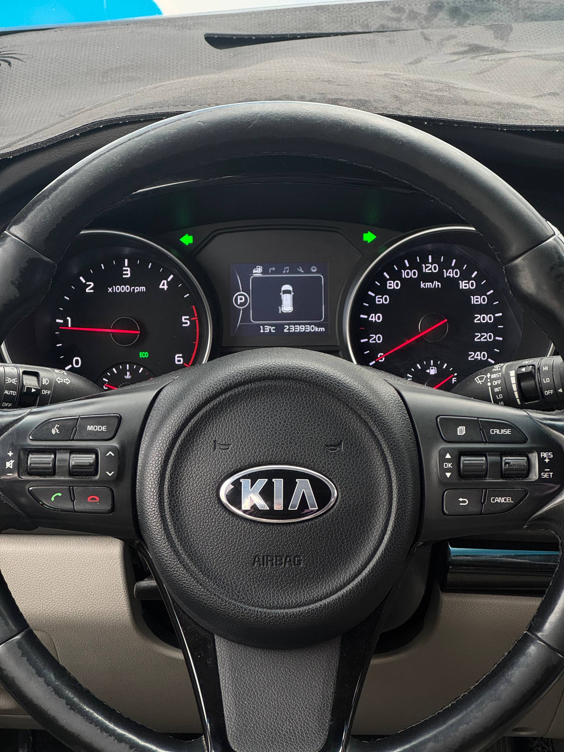 2015 Kia Carnival
