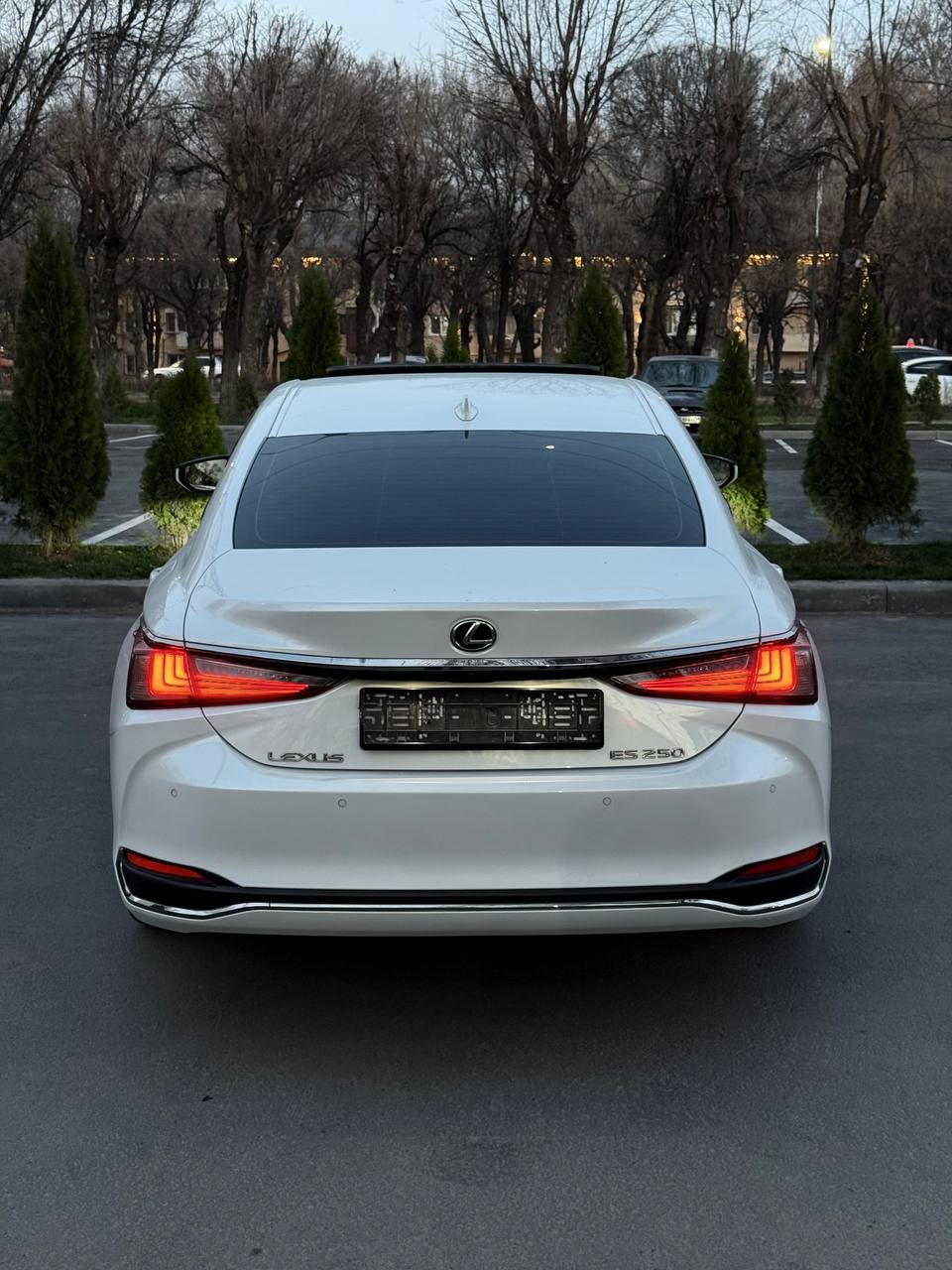 2022 Lexus
